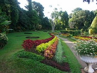 Peradeniya Garden
