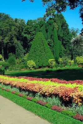 Royal Botanic Gardens